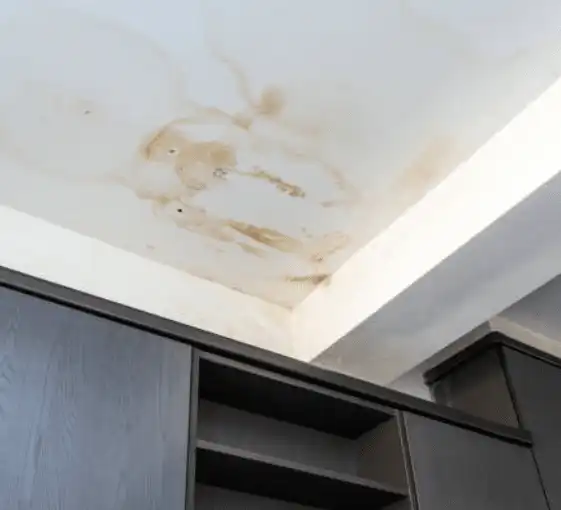 Nanosil 2 (Moisture in ceiling)